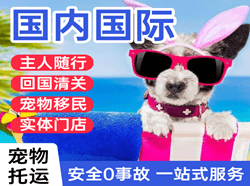 忻州空运公司国际宠物托运 【国